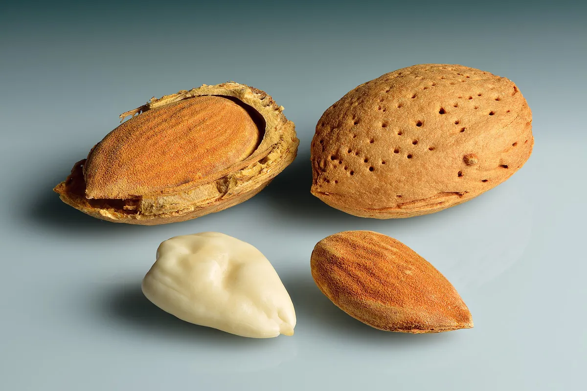 Almond Shell